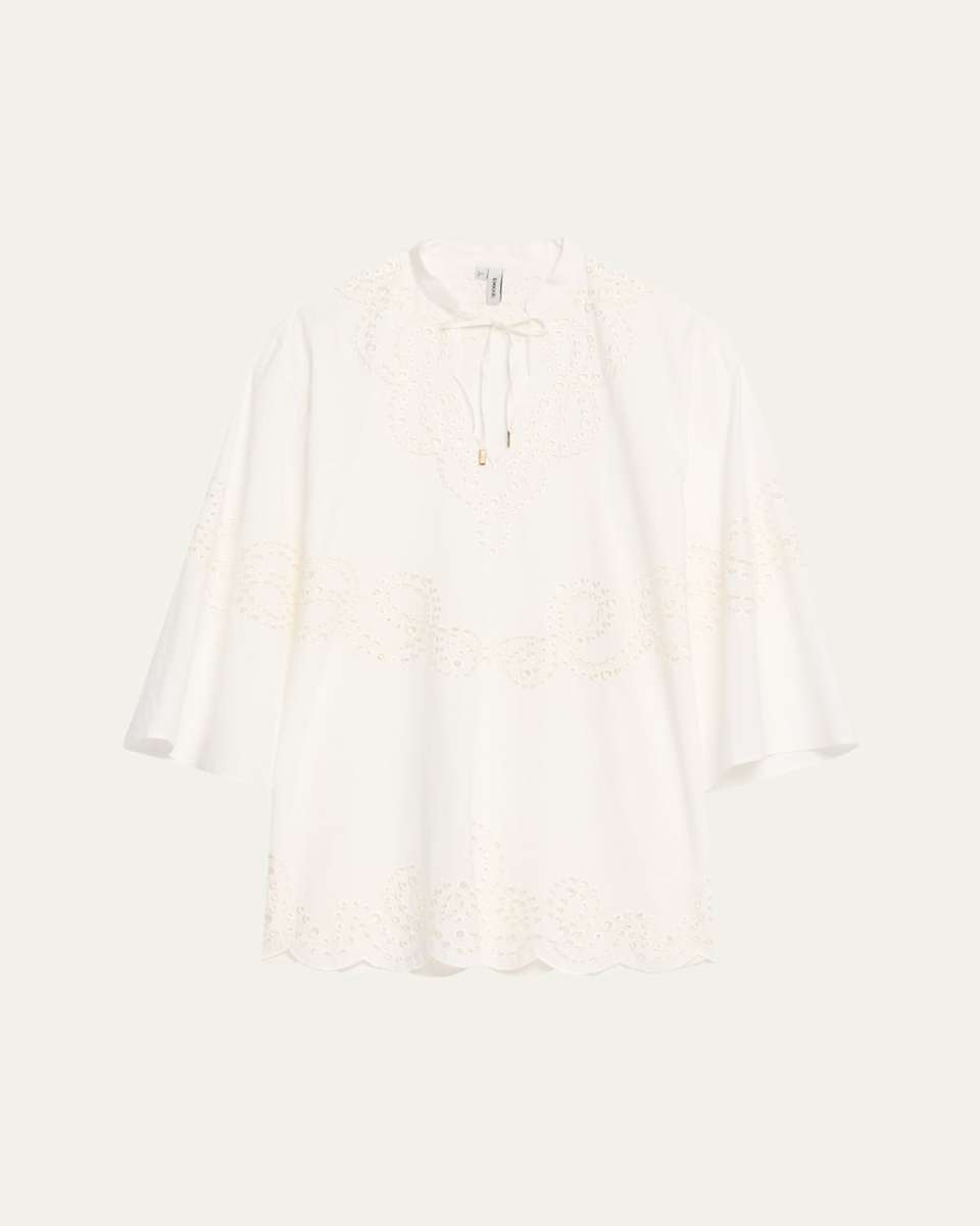 Sarina Embroidered Long-Sleeve Mini Dress